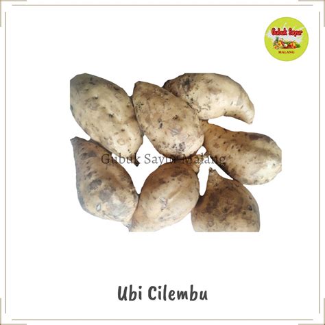 Jual Ubi Cilembu Ubi Madu Cilembu Mentah 500 Gram Shopee Indonesia