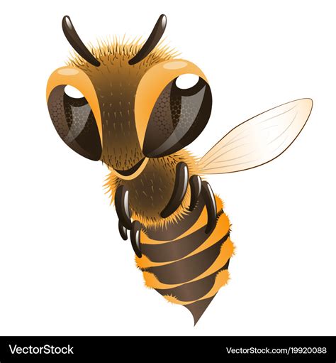 Happy bee Royalty Free Vector Image - VectorStock