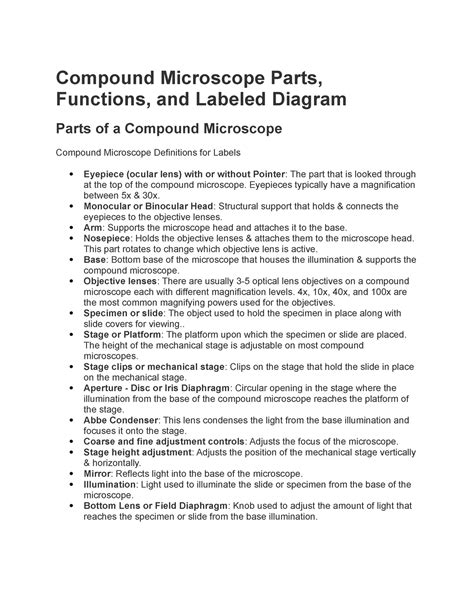 Compound Microscope Parts Compound Microscope Parts Functions And Labeled Diagram Parts Of A