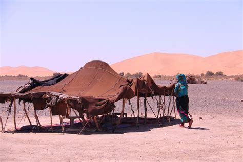 Berbers North Africas Marginalized Indigenous People Courthouse