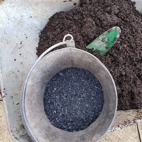 Marmande Superprecoce Tomato Trial With Biochar Amended Soil Biochar