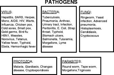 Classification of some common pathogens and a list of diseases caused ...