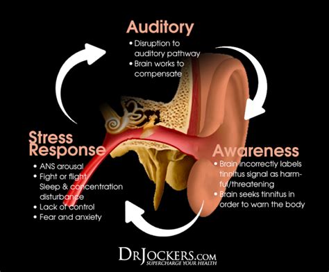 Tinnitus: Symptoms, Causes and Natural Support Strategies