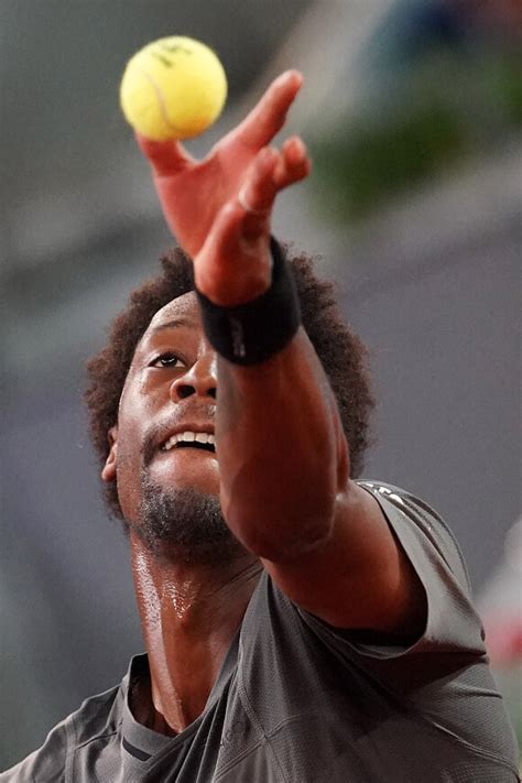 Gaël Monfils et sa femme Elina Svitolina bientôt parents ils révèlent