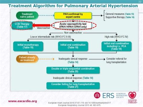 Vasoreactive Testing In Pulmonary Hypertension