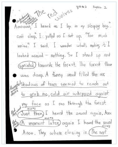 Narrative Writing Sample Grade 2