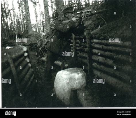 World War Two B W Foto Ein Deutscher Bergtruppen Sniper Feuert Aus