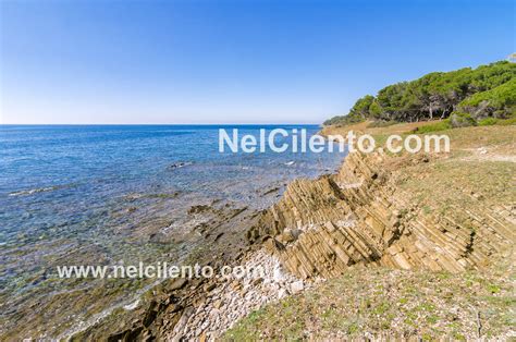 Punta Licosa Un Paradiso Naturale Tra Spiagge Fondali E Storia Nel