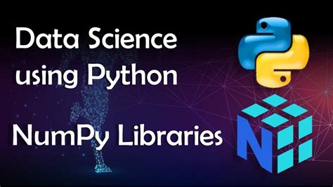 Data Science Using Python Numpy Library 15 Minutes Of Coding Vector Operations Start Now