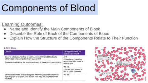 Components of Blood | Teaching Resources