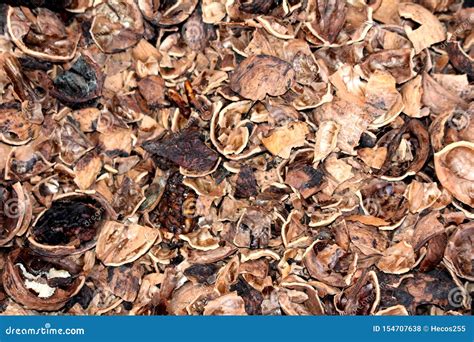 Crushed Cracked Open Walnut Shells Background Wallpaper Texture In