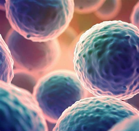 Decoding The Metabolism Of MAIT Cells DeFuck Media