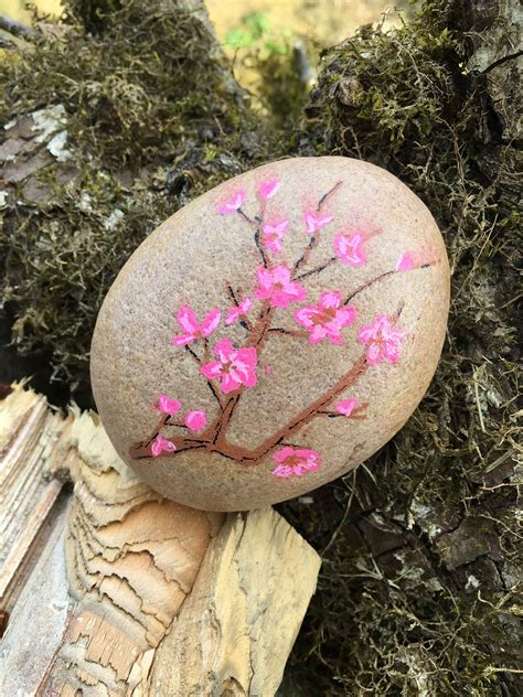 Cherry Blossom Painted Rock Rock Painting Art Cherry Blossom