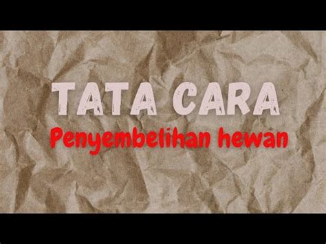 Tuga Mata Kuliah Fiqih Bab Penyembelihan Kelompok Youtube