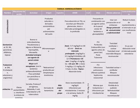 Aminoglus Sidos Resumen De Estudio Para Examen De Antibi Ticos