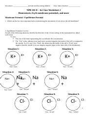 Worksheet 2 My Name Is And Will Rock This Coming Midterm Time Date