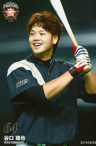 駿河屋 北海道日本ハムファイターズ 谷口雄也 ポストカードサイズ ファイターズ ハイライトフォトグラフ（男性生写真）