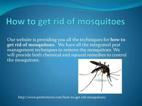 how to get rid of mosquitoes in my house 4