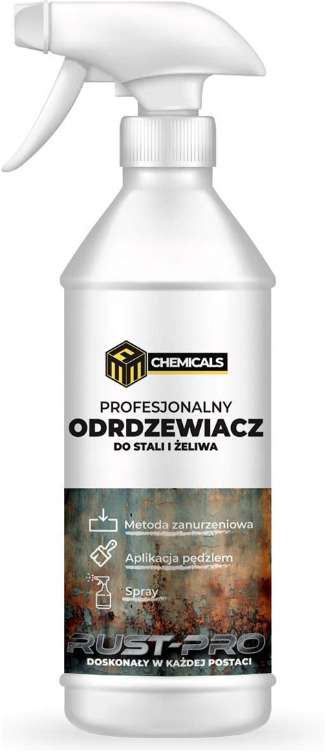 Odrdzewiacz Do Stali I Eliwa Profesjonalny L Z Atomizerem Opinie I