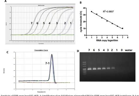 Figure From Development Of A Sybr Green Based Real Time Rt Pcr Assay