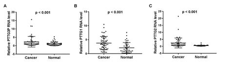 Pttg3p Pttg1 And Pttg2 Expression In Esophageal Cancer And Adjacent