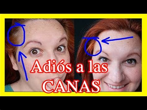 Champu De Henna Para Las Canas Actualizado Abril