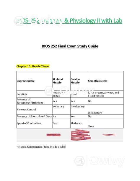 Bios Bios Final Exam Study Guide Latest Anatomy