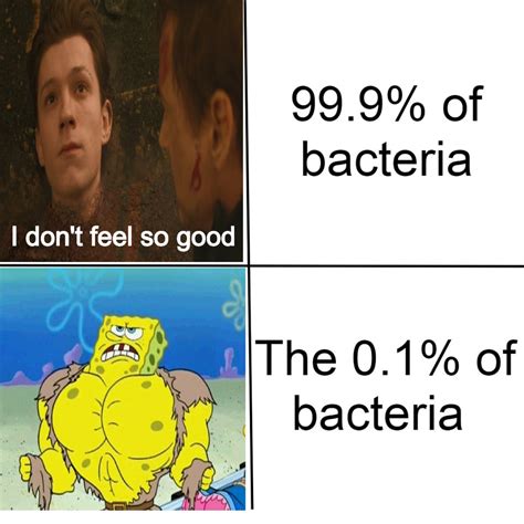 The 0.1% of bacteria : memes