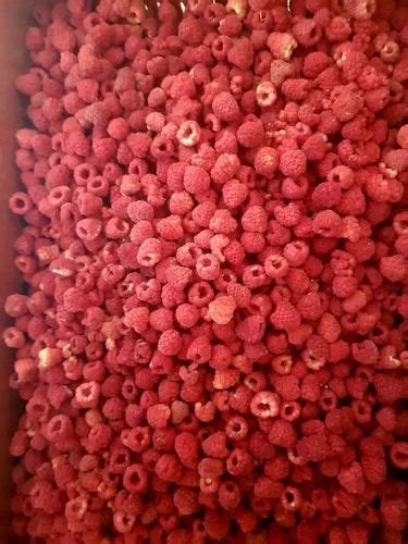 Natural Frozen Imported Iqf Raspberry Packaging Size 1 Kg Packaging Type Packet At Rs 950 Kg