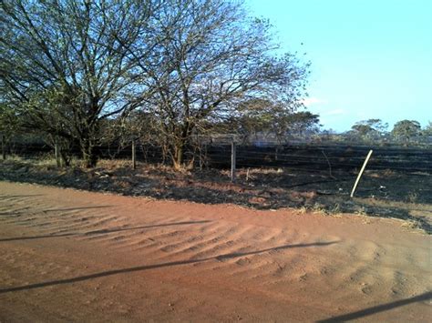 G1 Incêndio atinge cerca de 30 hectares de vegetação em Uberlândia