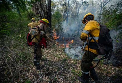 Controlado el incendio forestal en el parque Otuquis el fuego afectó 7