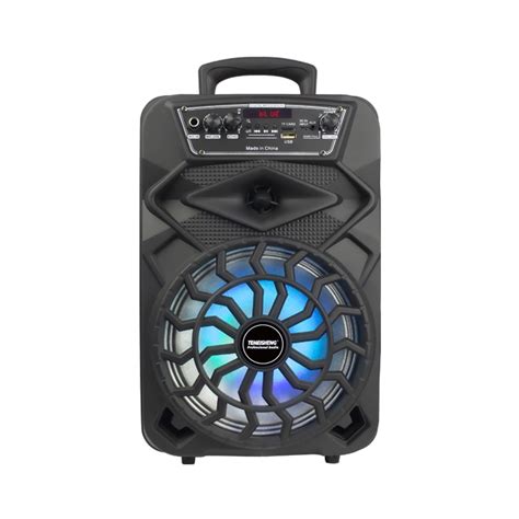 Temeisheng 8 Inch Woofer Trolley Party Speaker With Microphone And