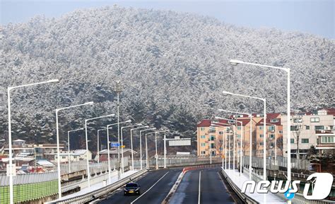 충남 8개 시·군에 대설주의보8일까지 3~20㎝ 눈 네이트 뉴스