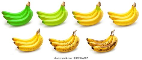 Stages Of Banana Ripening: Over 76 Royalty-Free Licensable Stock Photos ...