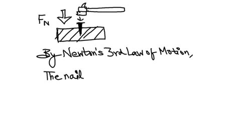 Solved According To Newtons Third Law Of Motion When A Hammer Strikes And Exerts Force On A