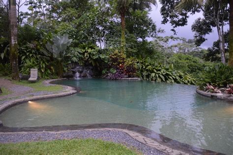 Sarapiquis Rainforest Lodge Pool Pictures & Reviews - Tripadvisor