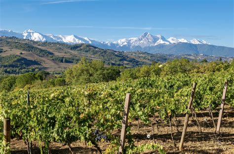 Consorzio Tutela Vini Colline Teramane E Consorzio Tutela Vini D