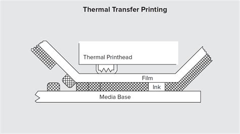 Direct Thermal And Thermal Transfer Printing Zebra Zebra