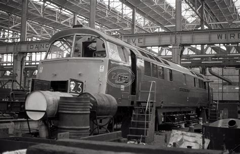 The Transport Library British Rail Diesel Loco Class 52 Western 1023 At Swindon Works In 1973