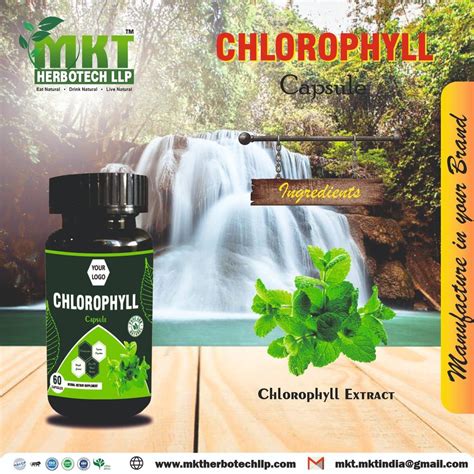 Chlorophyll Capsules Chlorophyll Pills Latest Price Manufacturers