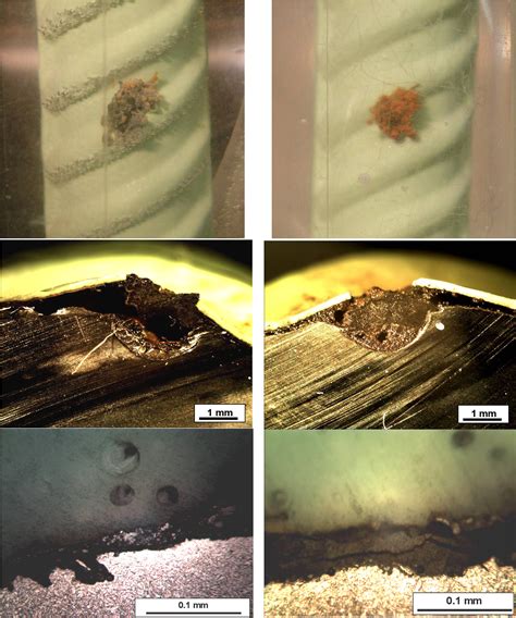 Corrosion Of Epoxy Coated Reinforcement In Marine Bridges With Locally