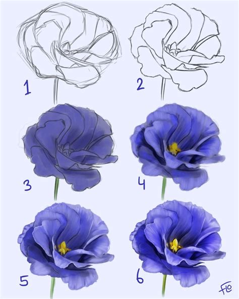 Drawing A Flower Step By Step Flower Drawing Tutorials Watercolor