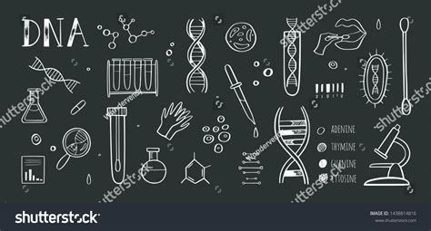 Genetic Engineering Medical Research Vector Infographic Stock Vector