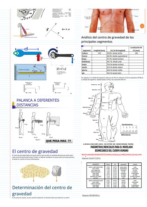 SOLUTION Principios Biomec Nicos Centro Del Gravedad Y Antropometr A