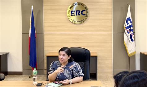 ERC NGCP Failed In Obligation In Panay Island Blackout GMA News Online