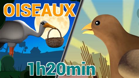 Comptines Des Oiseaux Les Patapons YouTube