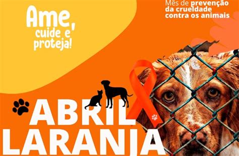 Abril Laranja conscientiza para o combate à crueldade animal Notícias