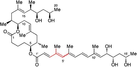 Structure Of M Ulcerans Derived Mycolactone Stereoisomers A B The Red