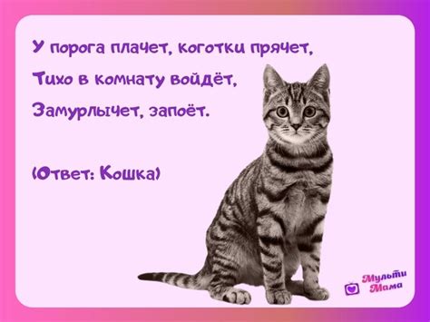 60 интересных загадок про кошку для детей с ответами