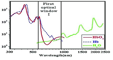 Absorption Spectra Of Water Hemoglobin Hbo 2 And Deoxyhemoglobin Download Scientific